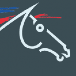 cropped-logo-ffe.png