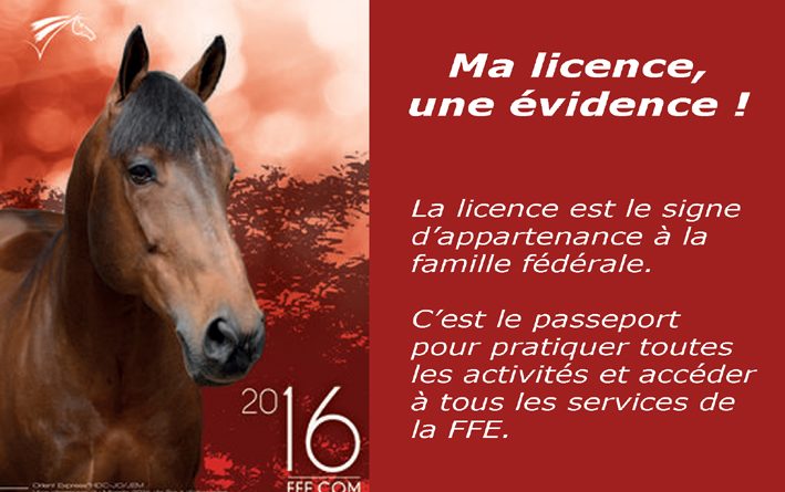 ma-licence-une-evidence-03