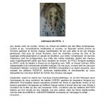la-chronique-de-chey-12-copy