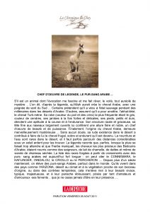 la-chronique-de-chey-03b