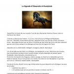 la-chronique-de-chey-31-page-001