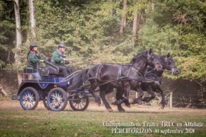 42793532_10205253588457041_9193317453445201920_n